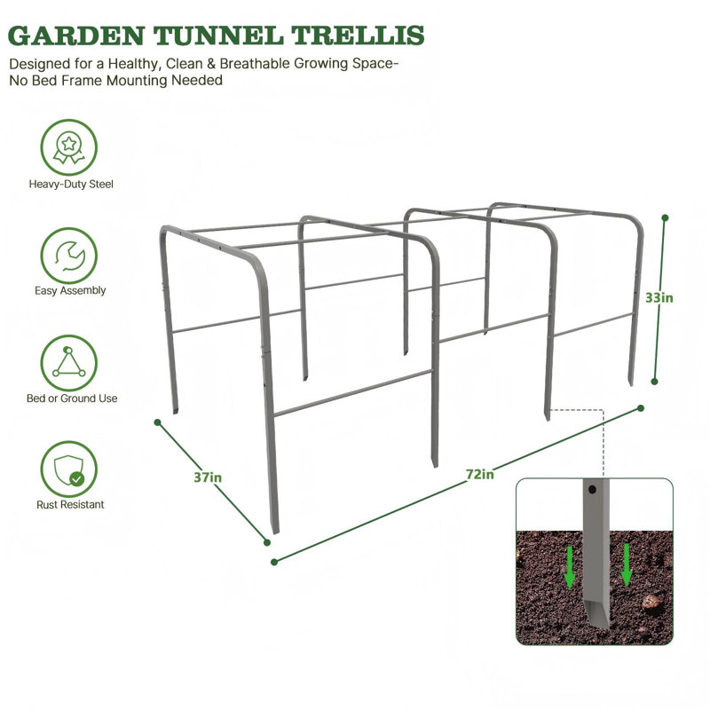 Bâche de serre surélevée Anleolife 8x4 avec cadre de tunnel de culture transparent en PE