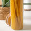 Glass Jar-69691757