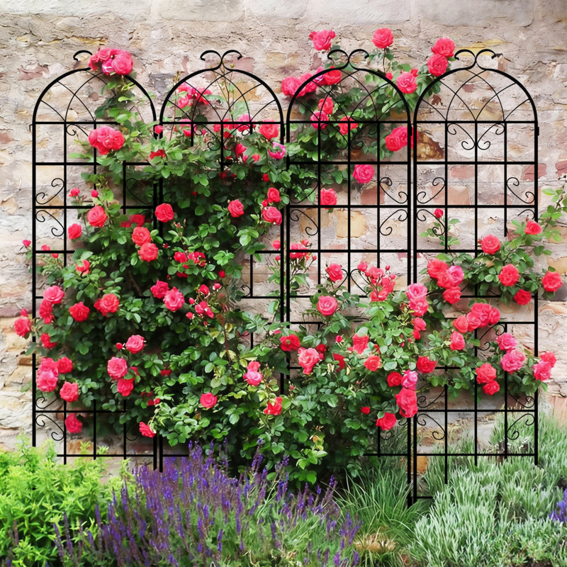 Treillis de jardin, matériau métallique durable pour supporter les plantes grimpantes, utilisation à l'extérieur, Noir