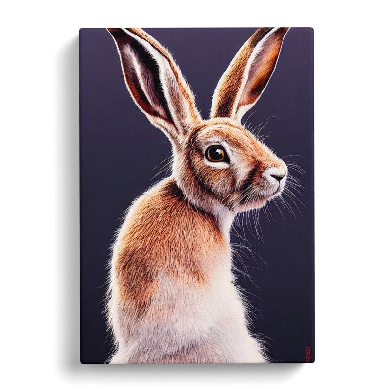 A Curious Hare - Wrapped Canvas Print, 76cm H x 50cm W x 3cm D