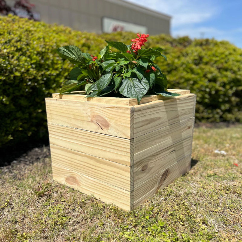 Solid Cedar Planter - Made Of High Quality Materials -