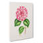 Pink Queen Victoria Camellia Illustration - Wrapped Canvas-55324896