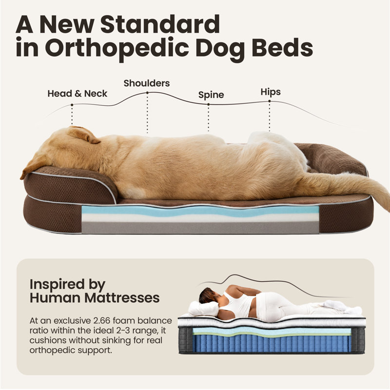 Lesure RealOrtho 3-Layer Orthopedic & Memory Foam Sofa with Removable Cover Dog Bed, XL (7" H x 42" W x 30" D), Camel Brown