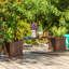 Jardinière surélevée avec banc et jardinière