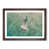 Walnut Framed
