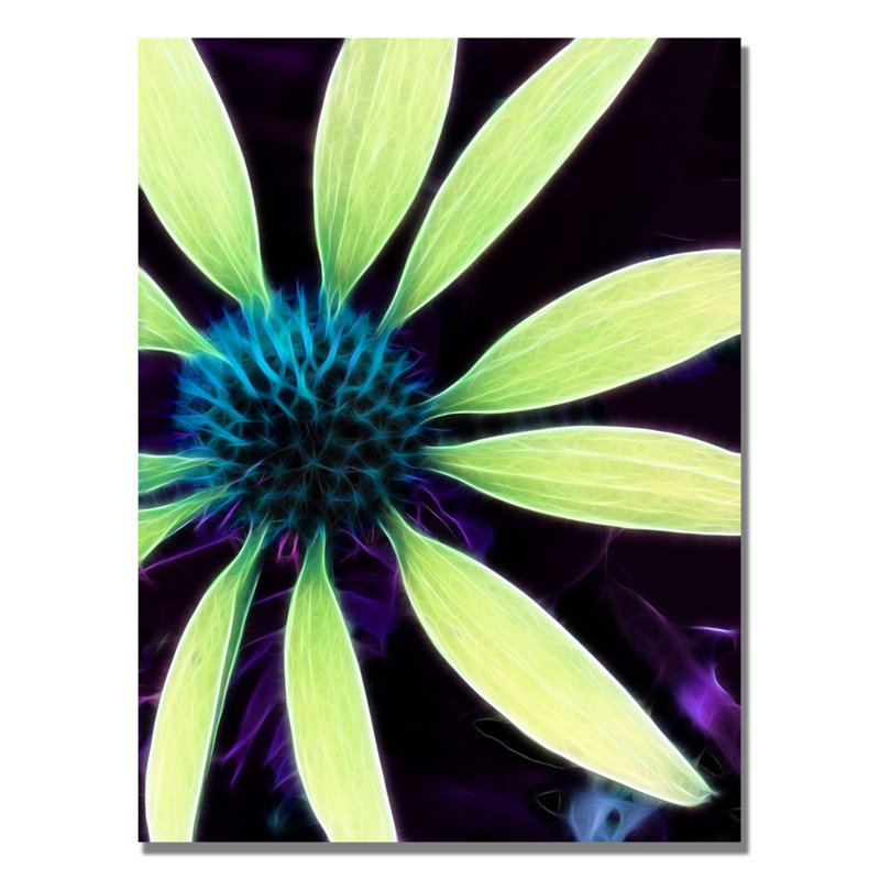 "lime green échinacée" par kathie mccurdy,, impression sur toile, H 32 po x l 26 po x P 2 po