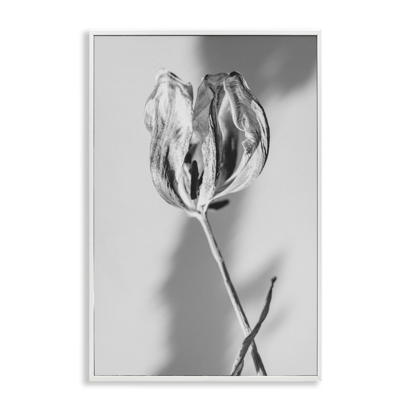 Giclée encadrée de tulipe pâle Requiem, design par Amy Carroll, H 24 po x l 16 po