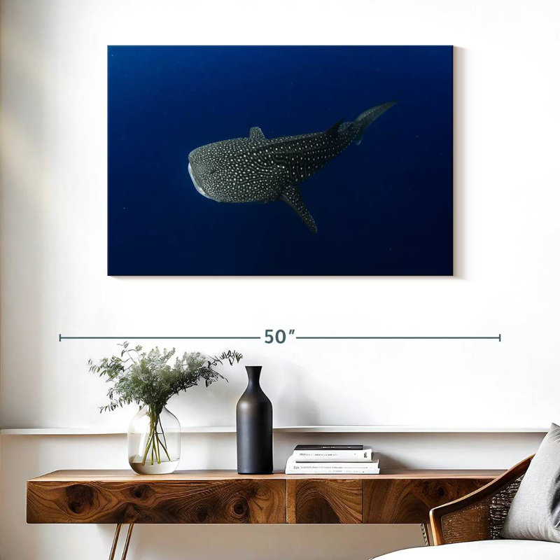 Brampt Whale Shark In Deep Blue Water