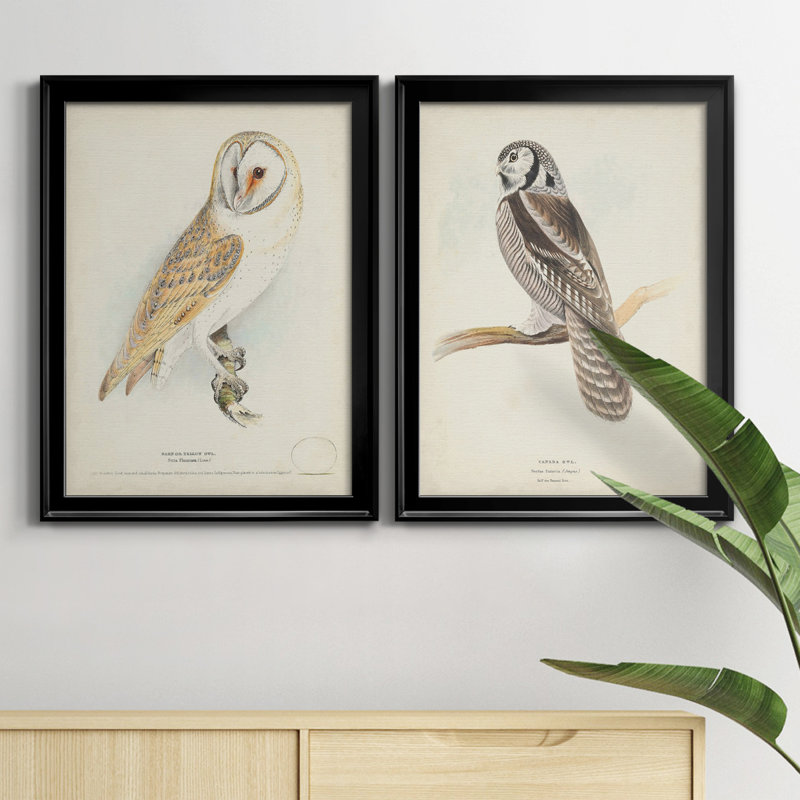 Barn Owl - Ensemble de 2 peintures sur toile encadrées, H 24,5 po x l 37 po x P 1 po, Noir