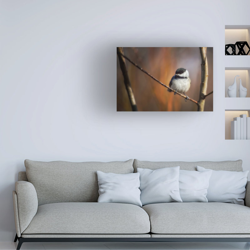 Art sur toile, rouleau de rouleau, H 16 po x l 24 po