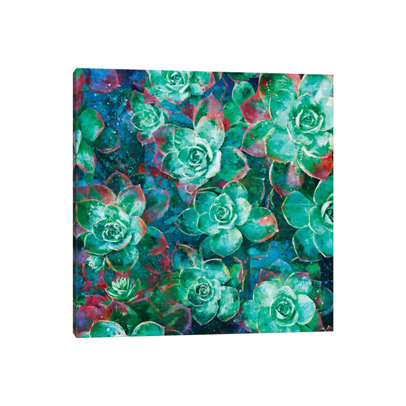Succulent by Lisa Robinson - Wrapped Canvas Gallery-Wrapped Canvas Giclée, 45.72 cm H x 45.72 cm W x 1.91 cm D