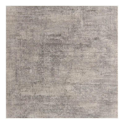 Kater Indoor Rug