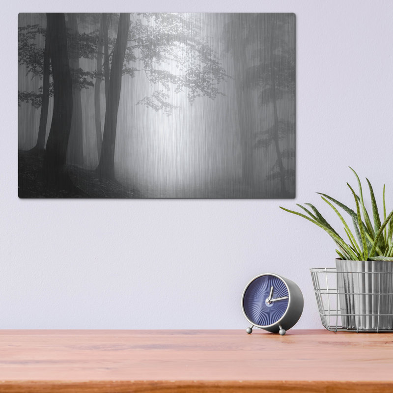 «Woods 1» par Photoinc Studio, art mural en métal, H 12 po x l 16 po