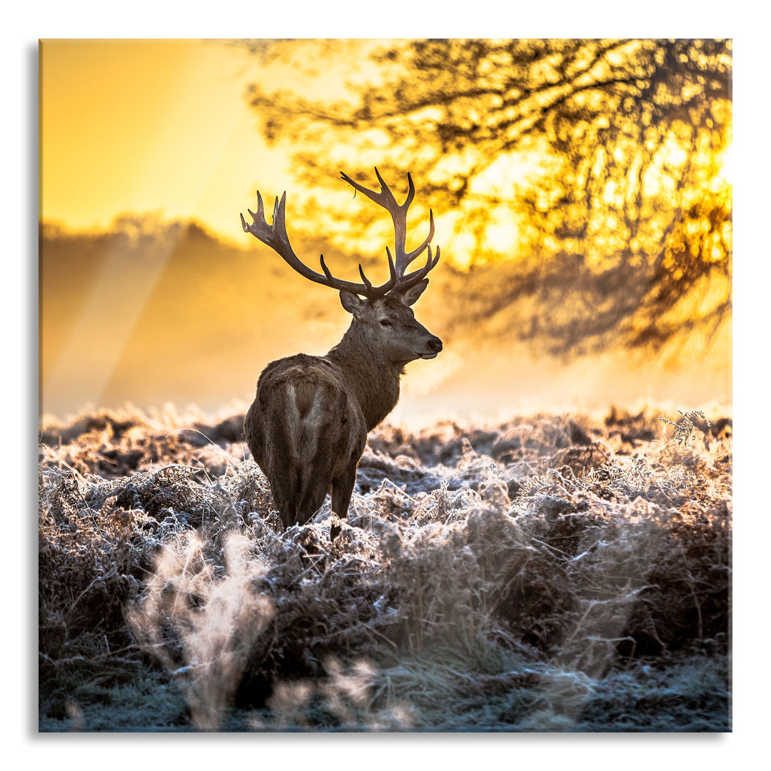 Glasbild Hirsch im Wald