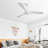 52 Inch Ceiling Fan Without Light 6 Wind Speed Timing Function 3 Solid Wood Blade Reversible Dc Motor-799896015-799896010