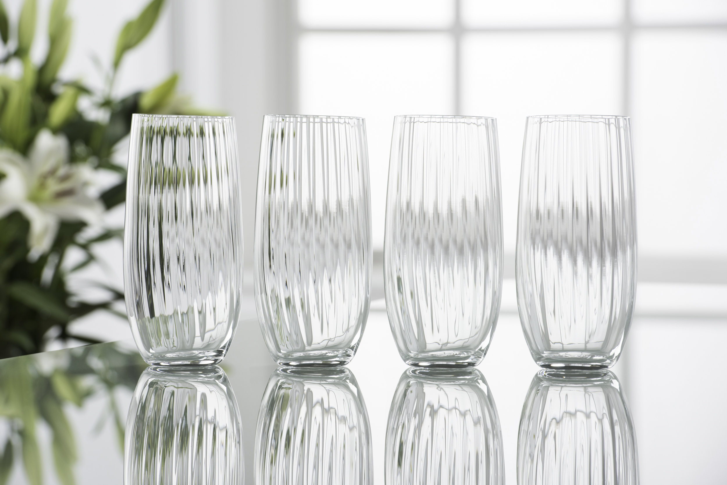 Galway Crystal Erne 14oz. Crystal Highball Glass Set Wayfair