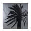 Silver Leaf Palm Tree B Print