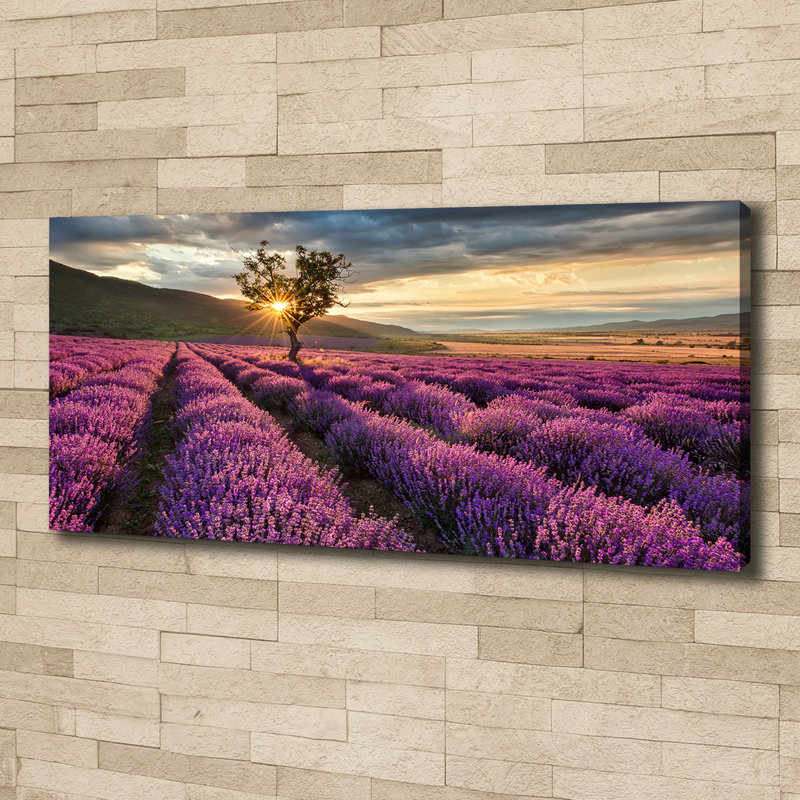 Lavender Field - Wrapped Canvas Print