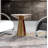 Lorenzo Stainless Steel Top End Table