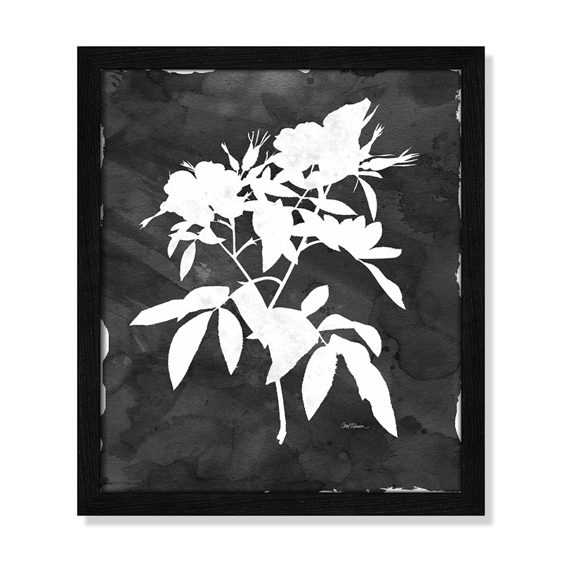 «Black Botanical I» par Carol Robinson - impression encadrée, H 15 po x l 13 po x P 0,75 po