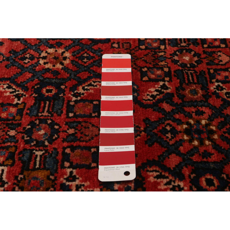 Tapis rouge Andelz 3 pi 0 po x 12 pi 10 po