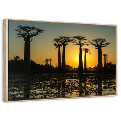 Silhouette de baobabs de Morondava