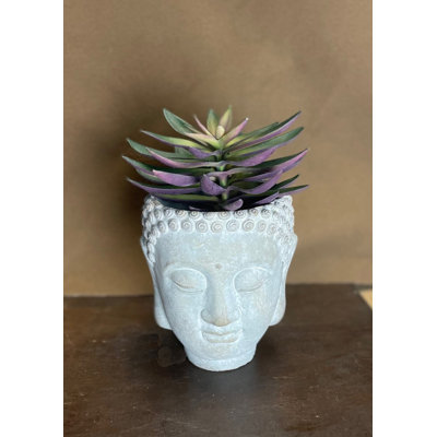 Kyza Wall Planter