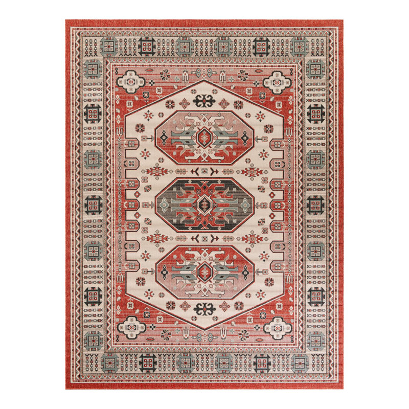 Tapis intérieur / extérieur traditionnel, Rectangle 9 pi x 12 pi