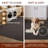 Elion Modern Machine Washable Grey Area Rug-1979999012-1979999014