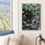 Zen Succulent I - reproduction de photo sur toile tendue-770646801