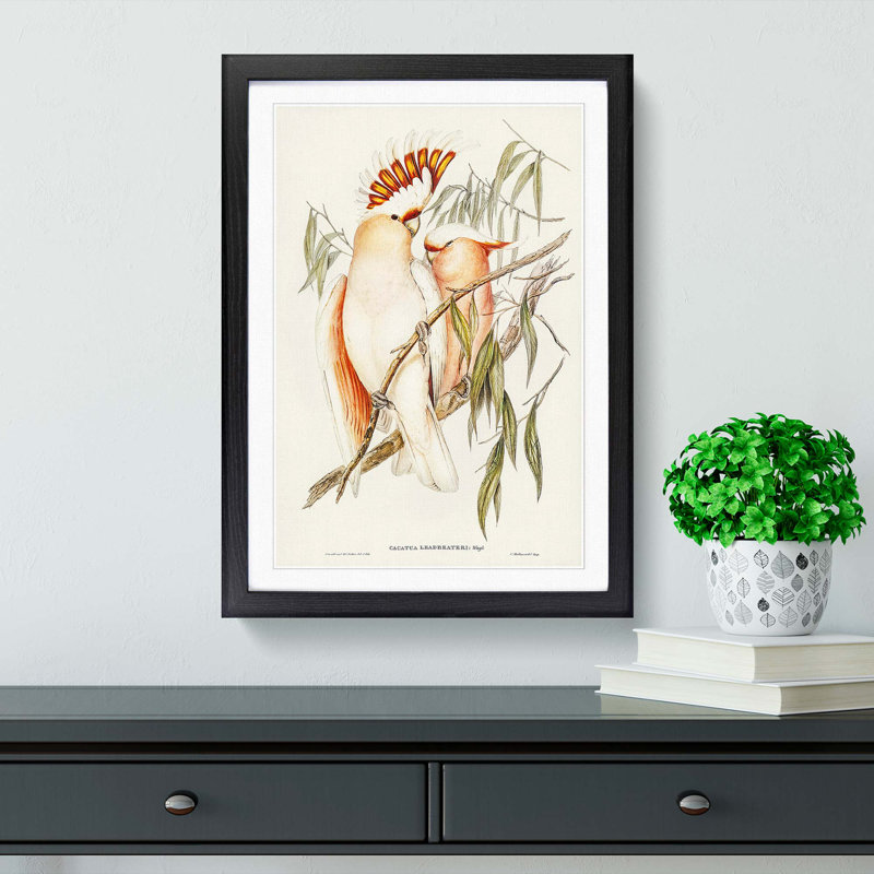 Leadbeater's Cockatoos by Elizabeth Gould - Picture Frame Painting Print, 36cm H x 27cm W x 2cm D, Black Framed