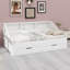 Daybed Frame with Built-in Storage Shelves and Pull-out Drawers-129599461