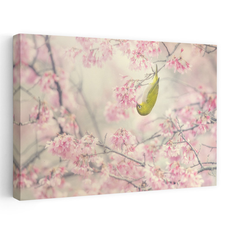 Dashiell Contemporary Art Contemporary Bird Cherry Flower Nature Wall Art - Wrapped Canvas Print, 152.4 cm H x 101.6 cm W