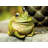 Everlea Frog Weather Resistant Plastic Garden Statue
