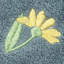Ensemble de serviettes 100% coton-907616166-841522125