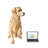 Cinar Animals Statue-2123510490