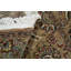 Wool Oriental Area Rug