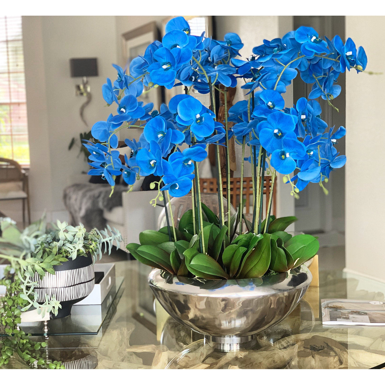 Orchid Arrangement in Planter, Blue