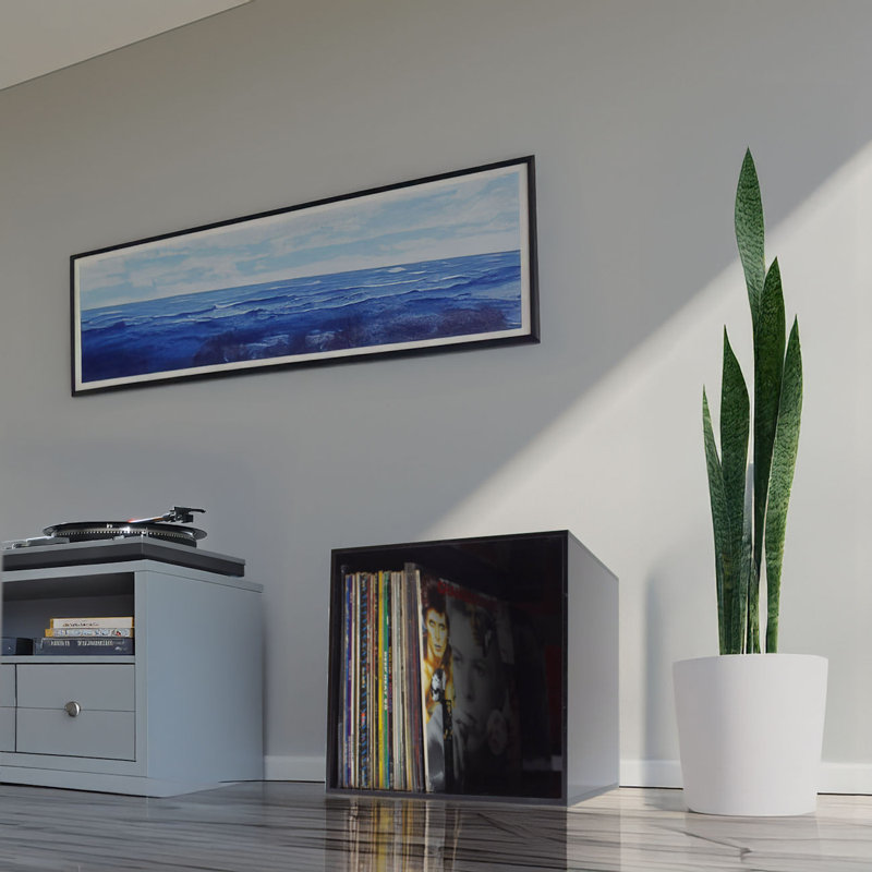 Plastic / Acrylic 10cm H Media Shelves, Black