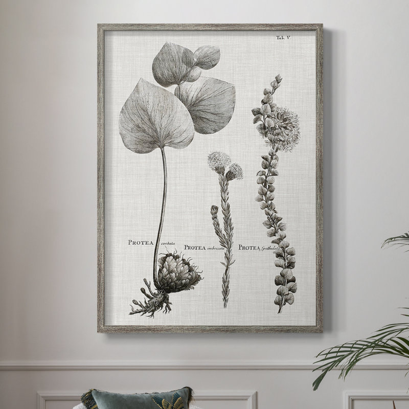 «Black & White Protea on Linen II», reproduction encadrée - bois massif, H 11 po x l 9 po