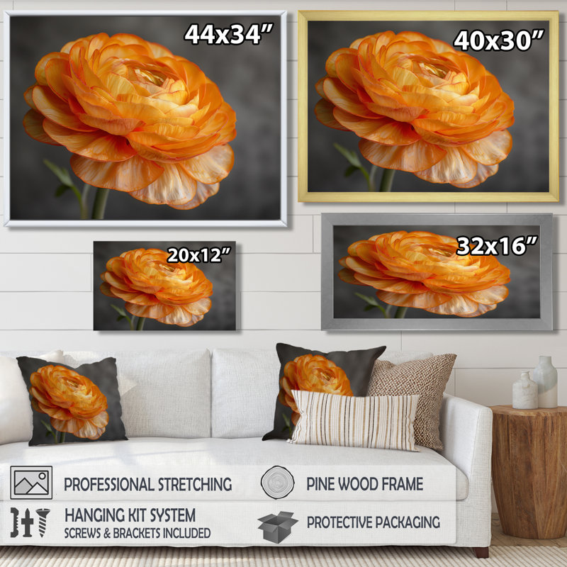 Décoration murale orange et noir Ranunculus Bloom I - Renoncule, H 12 po x l 20 po, Cadre flottant doré
