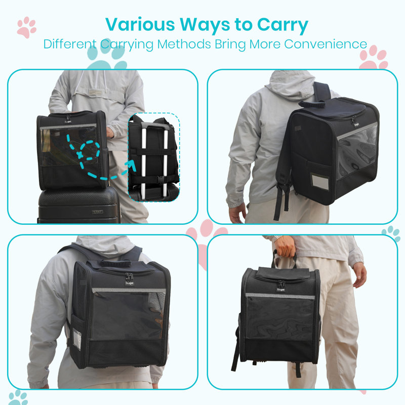 Pet Carrier with 1 Door, Black