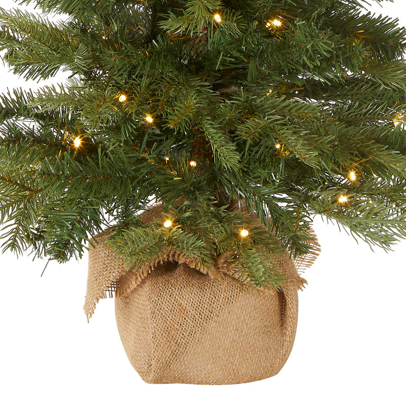 3ft. Nordic Spruce Tree with LED Lights