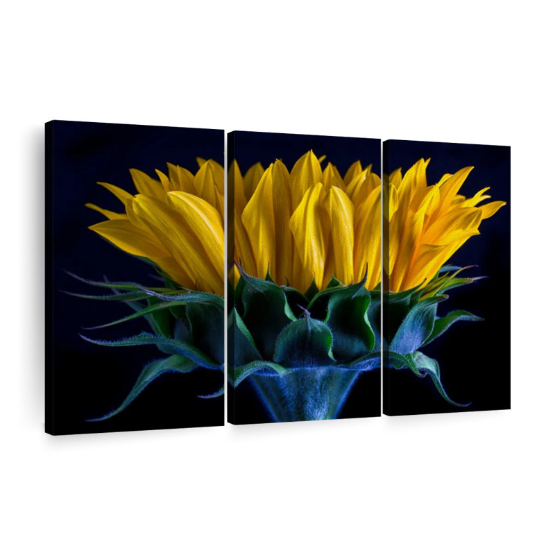 «Sunflower Side View», 3 pièces, H 20 po x l 33 po