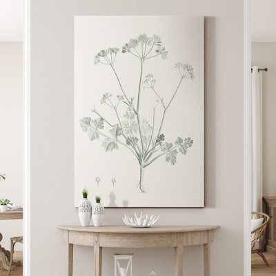 " Botanical Study In Sage IV "