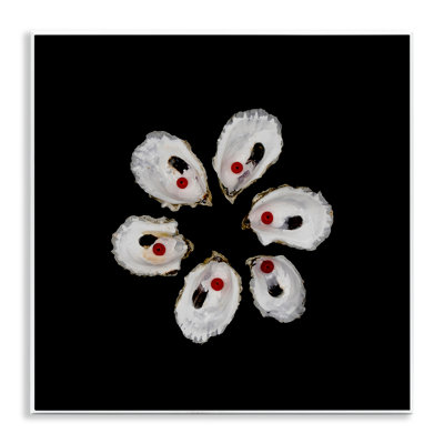 Oyster Shells Symmetry Wall Plaque, design by Beth Adoette