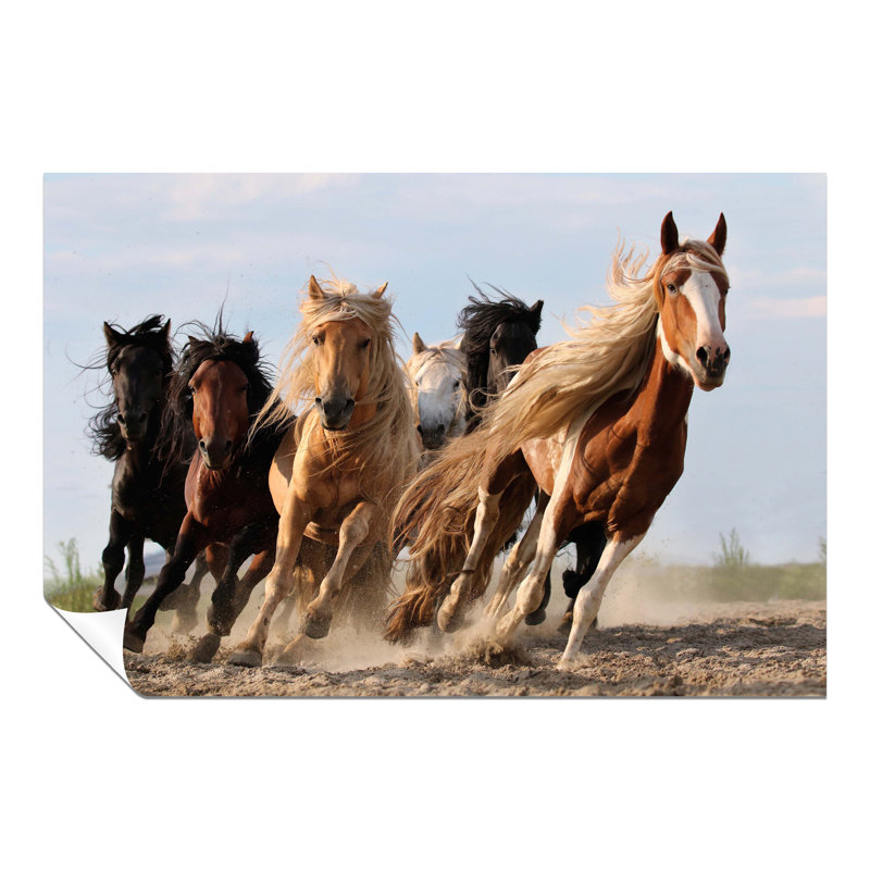 Brown And Black Mongolian Horses Running - No Frame Print, 76cm H x 51cm W