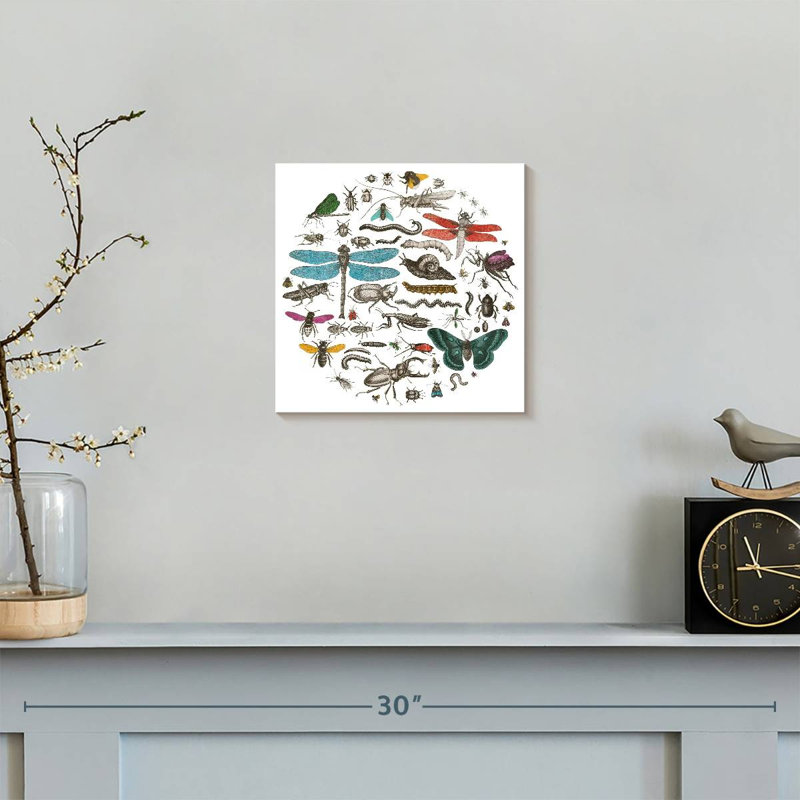 Insect Circle I Bright, 10" H x 10" W