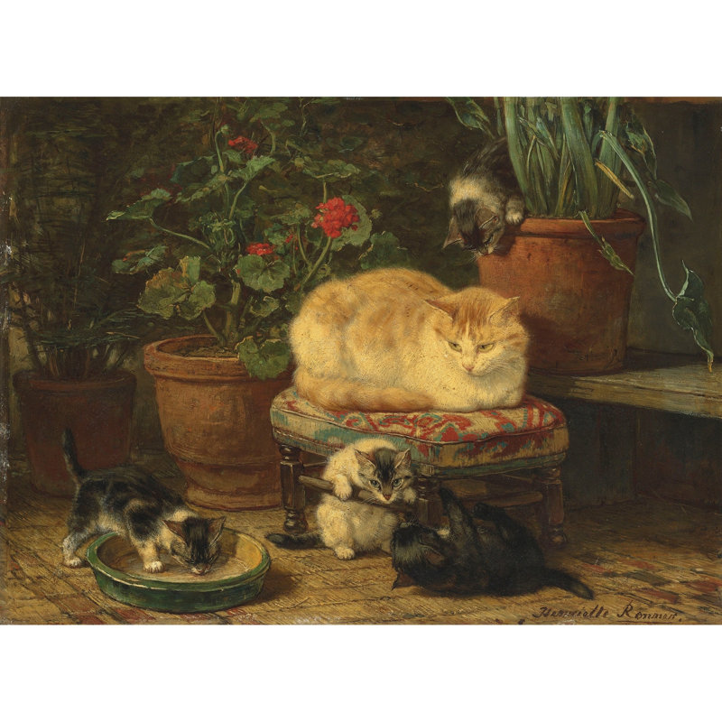 Kittens At Play