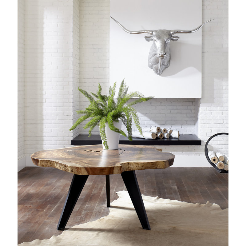 Longhorn Bull Sculpture Wall Décor